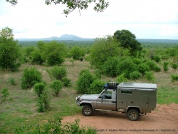 Totoy dans les grands espaces sauvages d'Afrique