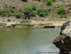 Pique nique à Hippo pool, la bien nommée