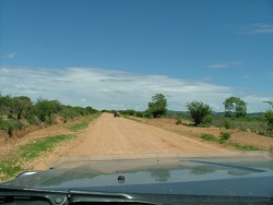 Toujours sur la piste qui mène à la capitale Dodoma, on ne croise pas grand monde, à part quelques charettes et des camions