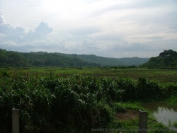 Cette région tout au nord du Malawi est très cultivée sûrement grâce à sa proximité avec le lac qui permet l'irrigation