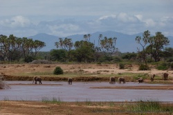 Kenya 2011
