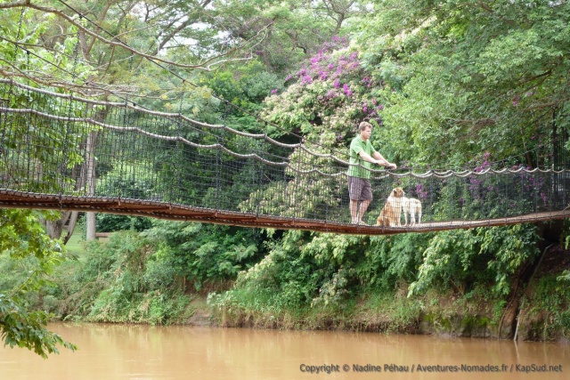 Ballade bien agréable dans le "parc" du camping de Sagana