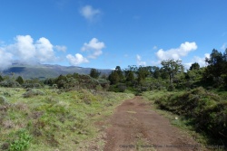Arrivée sur le plateau du parc, avec le mont Kenya à l'horizon