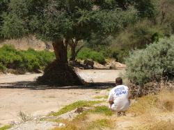 afs_2008_1102(030)