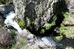 Les fameuses chutes d'eau