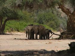 afs_2008_1102(030)