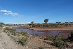 La rivière Ewaso Ngiro