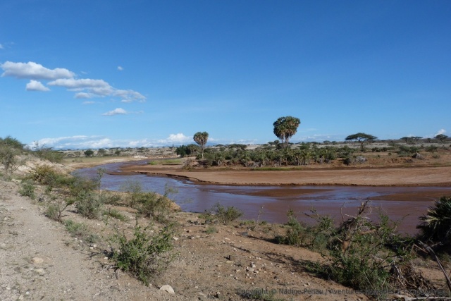 La rivière Ewaso Ngiro