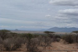 La réserve de Samburu offre également de beaux paysages