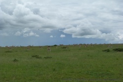 kenya_2011_1204-125550