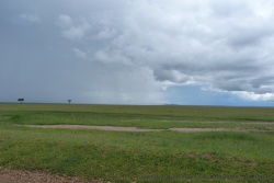 Vastes étendues du Masaï Mara sous un ciel menaçant