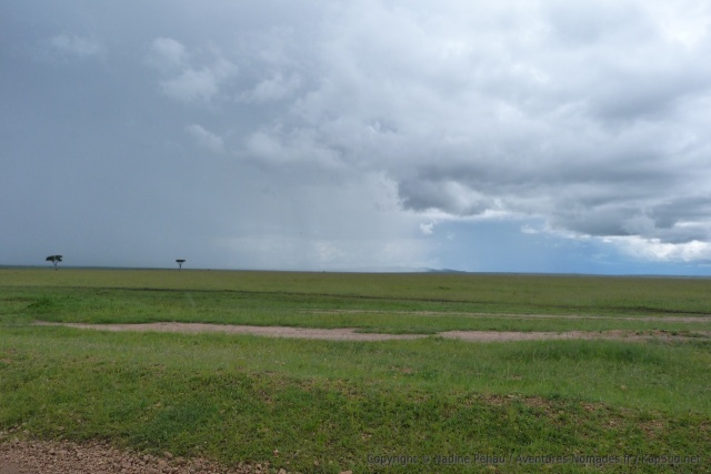 Vastes étendues du Masaï Mara sous un ciel menaçant