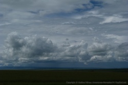 On devrait être en saison sèche, mais les nuages sont très présents