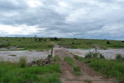 De l'autre côté de la rivière, le Serengeti en Tanzanie