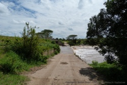 Un pont a été aménagé pour garantir la traversée, avant c'était juste un passage à gué