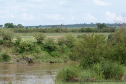 De l'autre côté de la rivière, une girafe nous jauge de haut