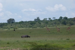La richesse de la faune est à la hauteur de la réputation de la réserve