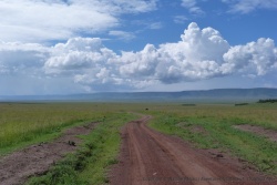 Les paysages grandioses sont aussi légion au Maasai Mara