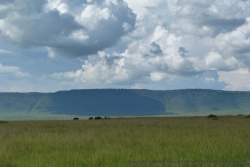 L'escarpement tout au fond de la réserve marque une barrière infranchissable