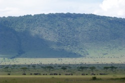 Un magnifique troupeau d'éléphants dans de si beaux paysages, que demander de plus ?