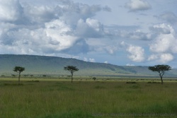 kenya_2011_1205-155858
