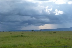 Vraiment, l'orage se rapproche !