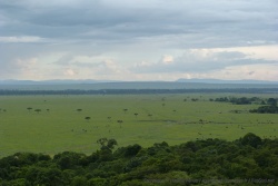 Une immense plaine déroule son tapis vert à perte de vue