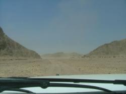 afs_2008_1103(016)