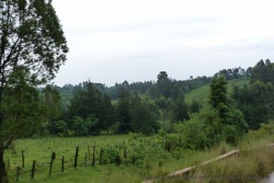 De nouveaux des paysages très verdoyants