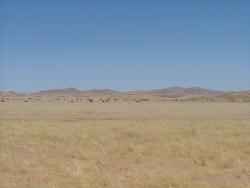 afs_2008_1103(024)