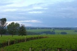 La région de Kericho, à l'ouest du Kenya, est principalement dédiée à la culture du thé