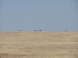 afs_2008_1103(025)