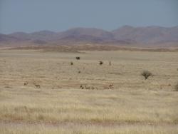 afs_2008_1103(025)