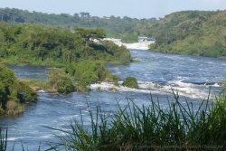Les rapides bouillonnants des Karuma Falls