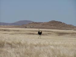 afs_2008_1103(025)