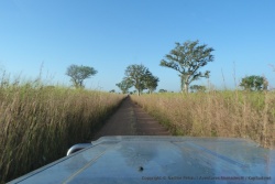 Le genre de piste africaine qu'on affectionne