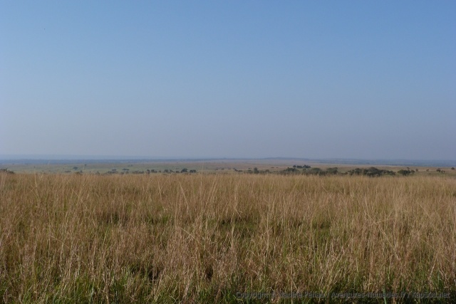 Des savanes à perte de vue