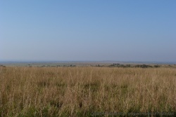 Des savanes à perte de vue