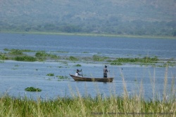 Les pêcheurs doivent disputer leur territoire aux hippopotames et aux crocodiles du lac Albert