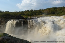 Les fameuses chutes de Murchinson, vues de leur sommet