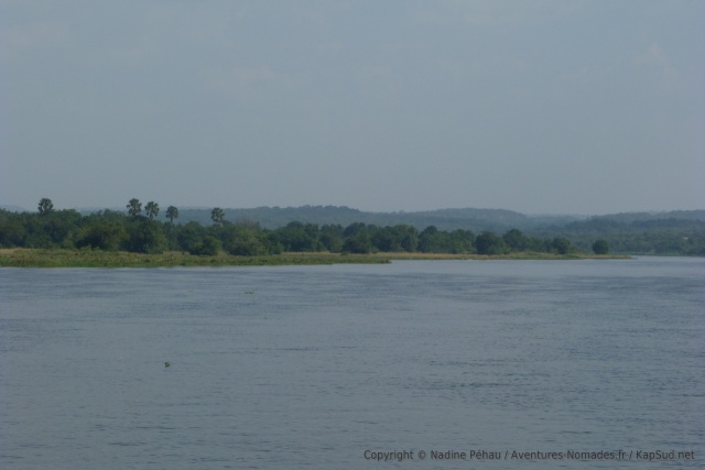 Les berges du fleuve à la végétation luxuriante