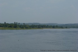 Les berges du fleuve à la végétation luxuriante