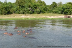 ouganda_2011_1212-151804