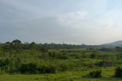 Les paysages sont incroyablement verts