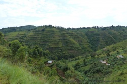 Malgré leurs pentes ardues, ces montagnes sont toutes cultivées