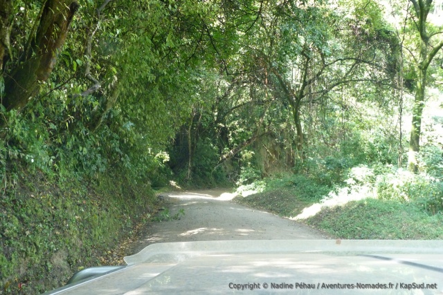 La piste se déroule agréablement sous les arbres