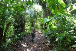 Un ranger nous accompagne pour la visite du parc de Semliki