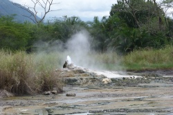 Un geyser s'active de temps en temps
