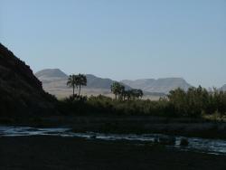 afs_2008_1103(057)