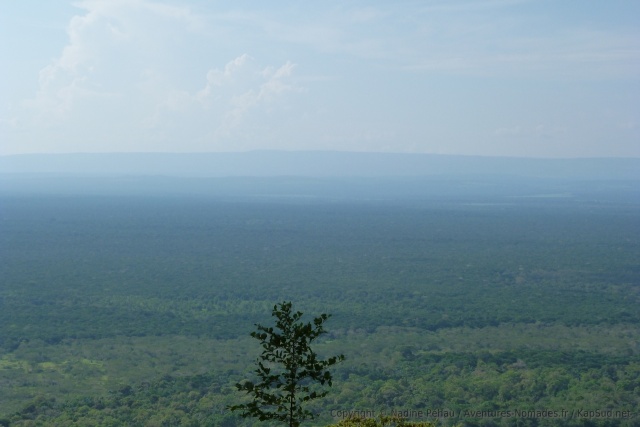 Un point de vue sur la chaine des Ruwenzoris